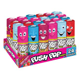 Push Pop Candy Lollipops – Birthday Gift Basket Stuffers, 24 Assorted Fruity Push-Pop Tubes