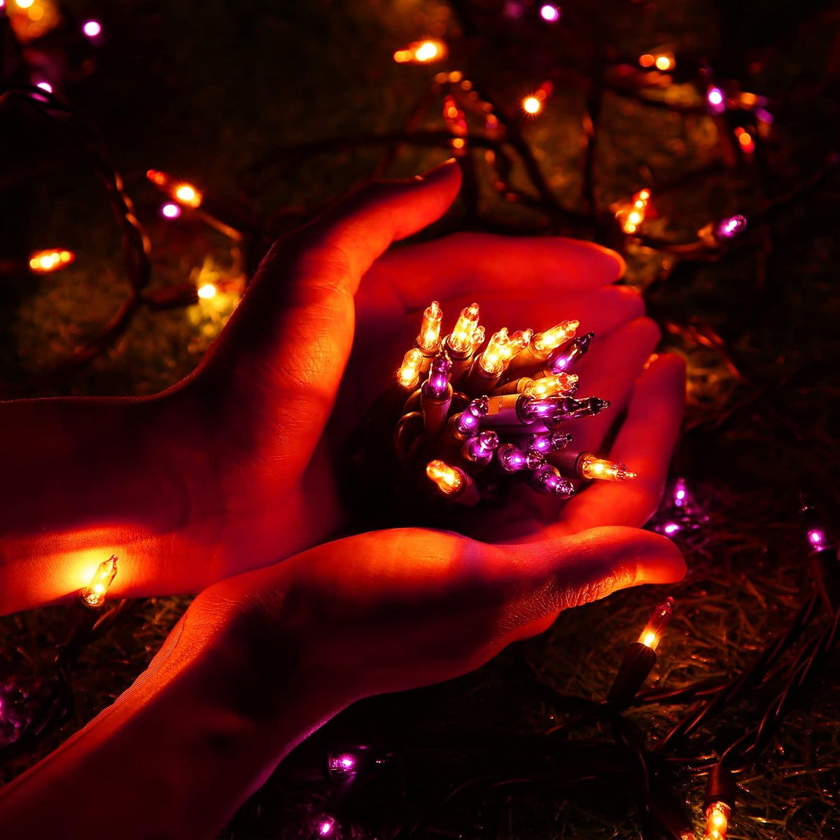 5w low-wattage incandescent bulbs delivering up to 88% energy savings vs. standard string lights