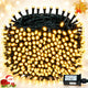 Warm White - 500 LED