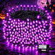 Purple - 240 LED