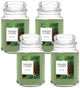 Balsam & Cedar - Large Jar (Pack of 4)