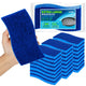 Blue-extra Large - 24