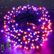 Orange and Purple - 100 LED
