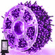 164FT - Purple