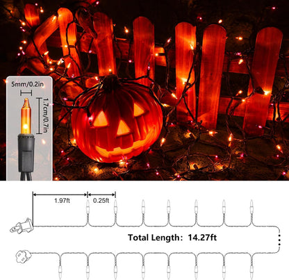 Lumifye Spooky Season Gift – Warm White String Lights for Couple's First Home, 75ft Full Yard Set
