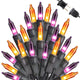 Orange & Purple - 75ft