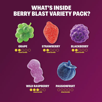 Shameless Snacks Berry Blast Gummies – Sugar-Free Style Snack Supporting Digestion and Balanced Living