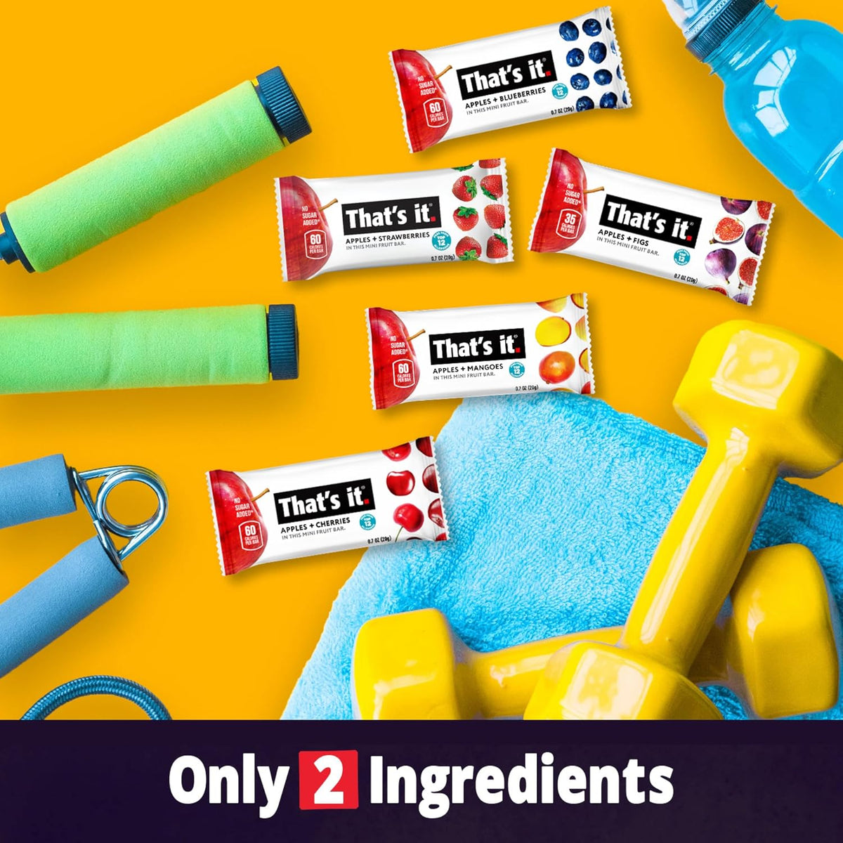 That's it. Mini Fruit Bars – Desk Drawer Fuel for Study Sessions, Two-Ingredient Clean Label Snack