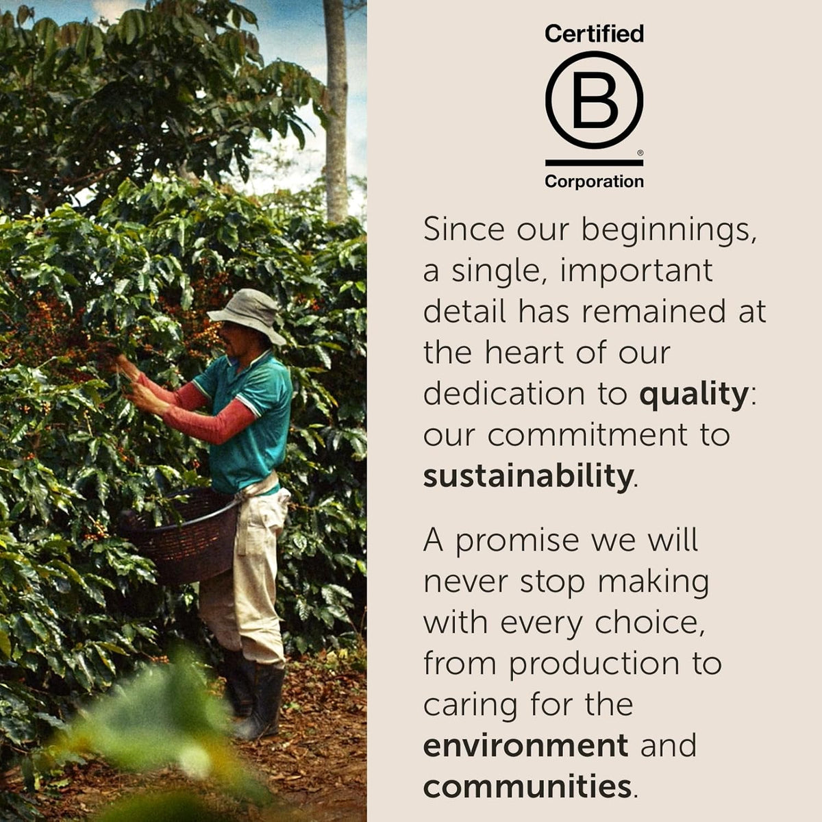 three grind options: drip, espresso, and moka to fit specific brewing equipment