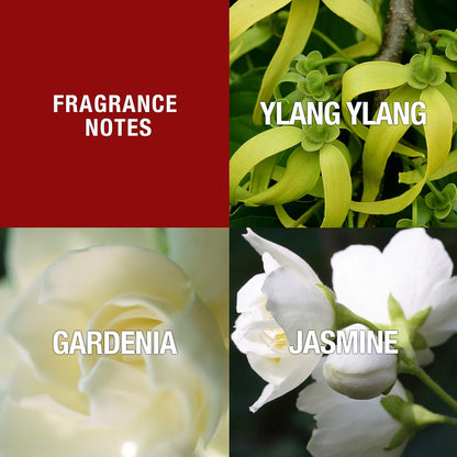 top notes of jasmine, ylang-ylang, and gardenia
