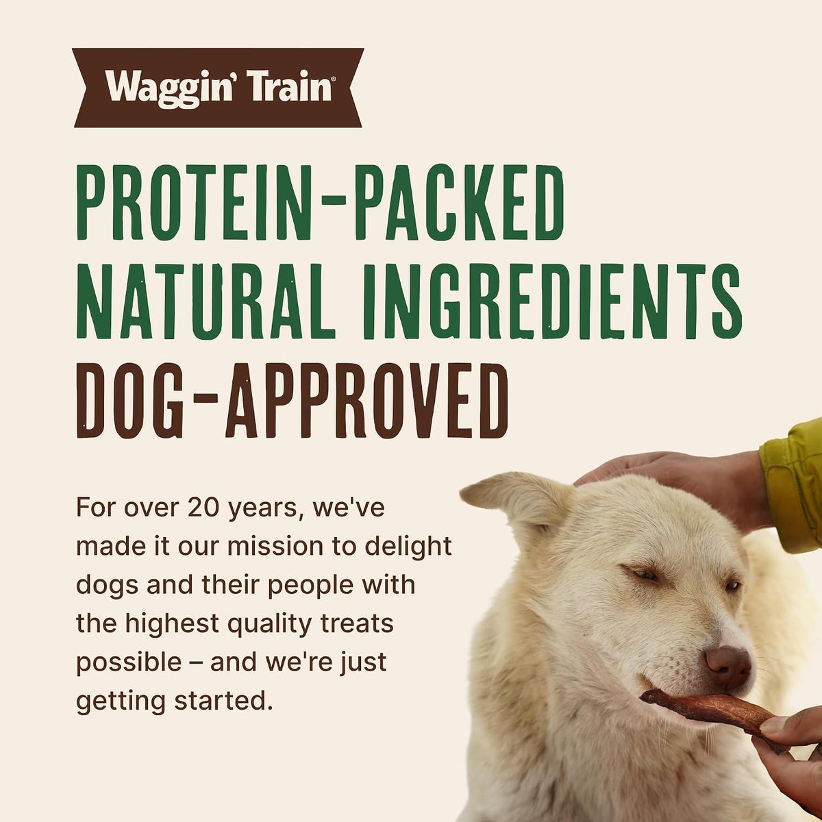 Waggin' Train Chicken Jerky Dog Treats – Adventure-Ready Training Reward for Outdoor Outings, Bulk Resealable Pouch