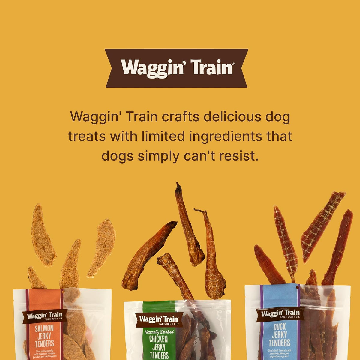 Waggin' Train Chicken Jerky Dog Treats – Adventure-Ready Training Reward for Outdoor Outings, Bulk Resealable Pouch
