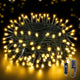 Warm White - 100 LED