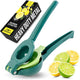 10 - Dark Green & Lime